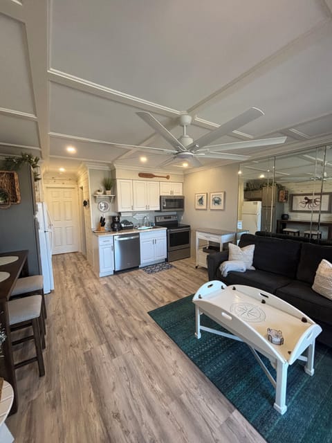 Living area/Kitchen combo