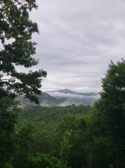 The view from the deck.