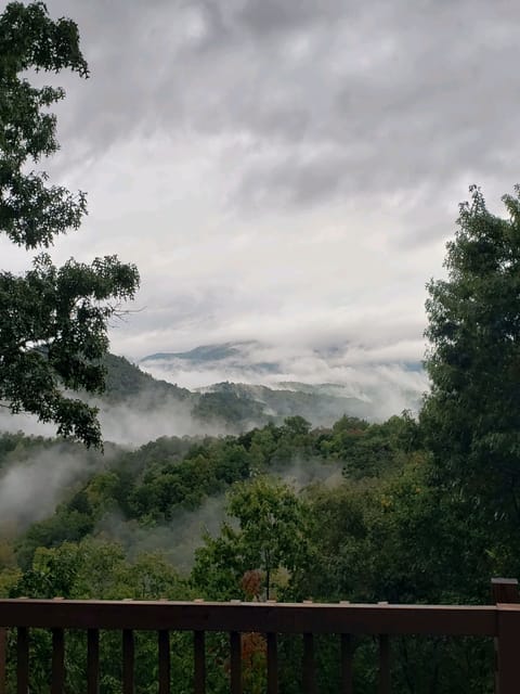 Ever changing deck views ❤