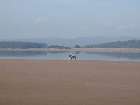 Shore Cottage (10), Silverdale near Grange Over Sands