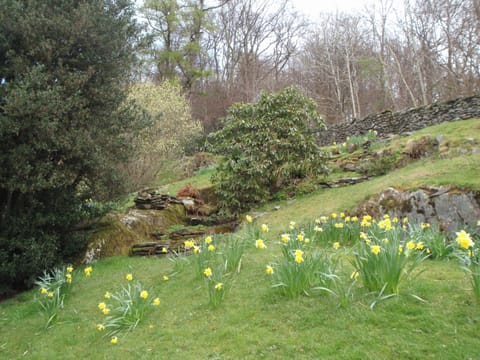 Breasty Haw, Satterthwaite