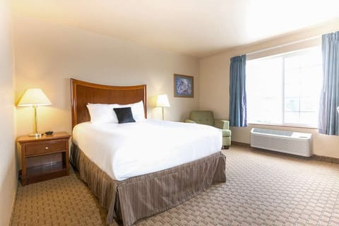 Wake up to natural light in a calm, cozy room.