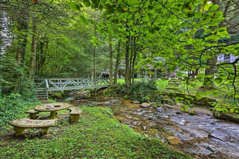 Roan Mountain Vacation Rental | 3BR | 1.5BA | 1,000 Sq Ft | Steps Required