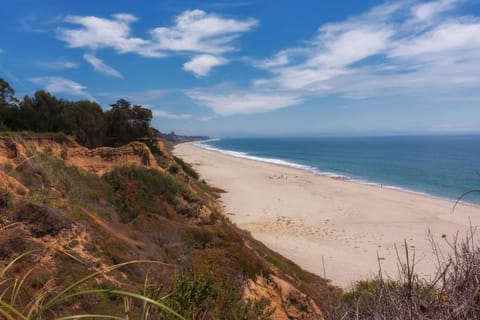 Ocean View from Bluffs 