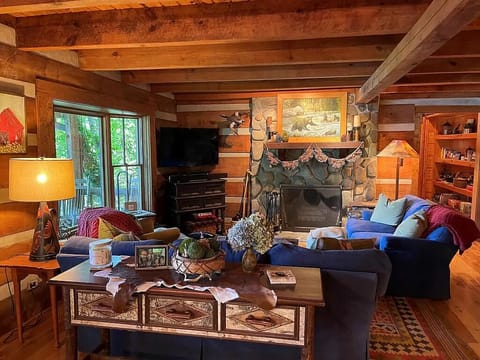 Living room with fireplace