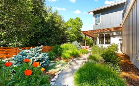 Walking path to the studio