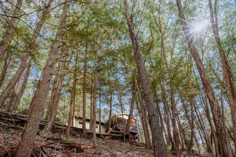 your getaway caressed by trees