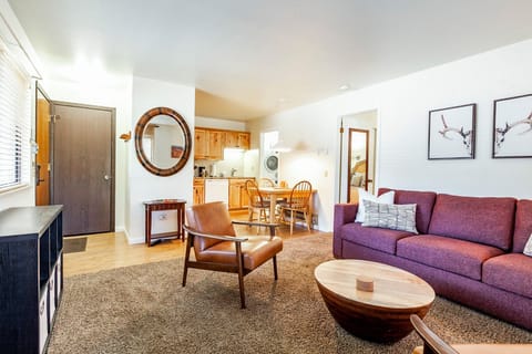 Living Room with Sleeper Sofa / Kitchen