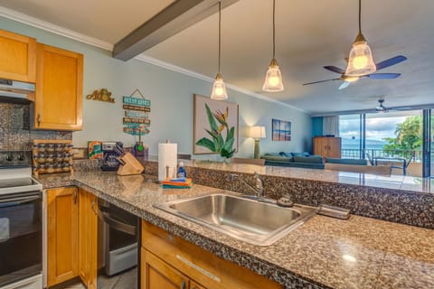 Large sink and countertop