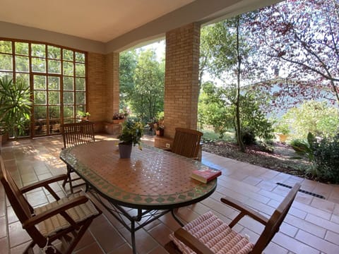 Plant, Table, Furniture, Property, Chair, Flowerpot, Wood, Houseplant, Shade, Interior Design