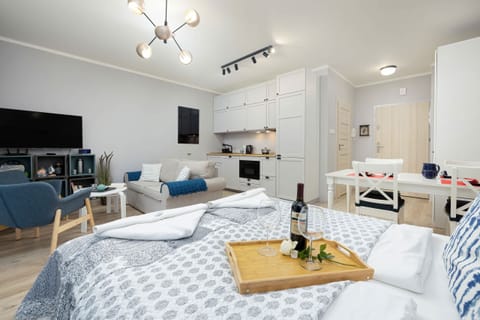 Spacious living room with full equipment.