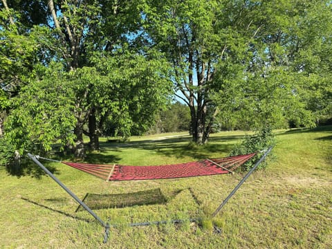 watch the stars from this hammock
