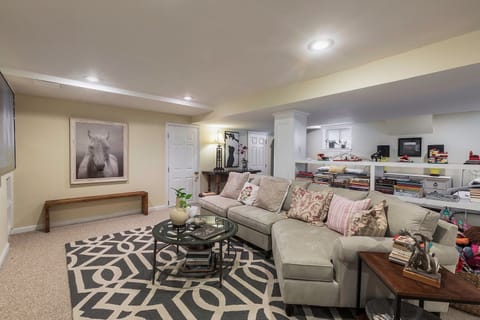 Studio livingrm with 71" smart TV
Netflix available + pull out queen sofa bed