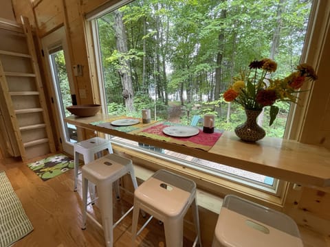 summer view from the counter bar