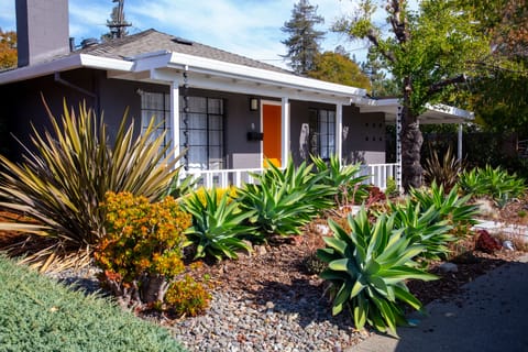 Welcome to the Tangerine House!