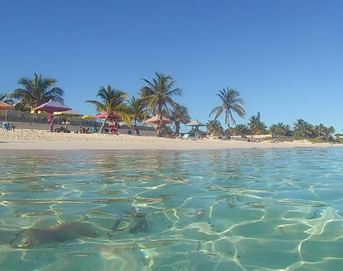 The building is located right on Coral Beach. The unit is just a few steps away!