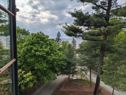 View from the upstairs window