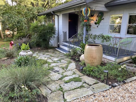 Welcome to the Gecko House!