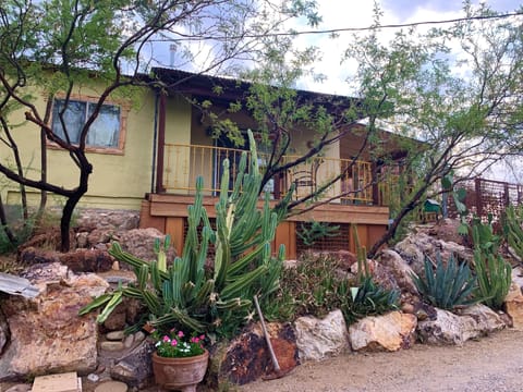 View to the private patio of the Mexicasa