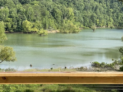 View from the back deck