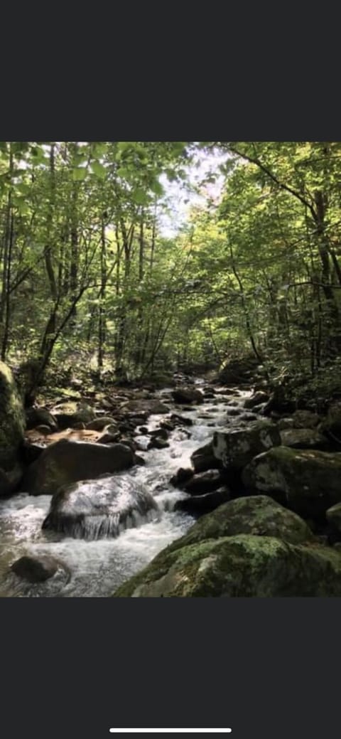 Guests can enjoy listening to Bogard creek anywhere on the Bunkhouse property.