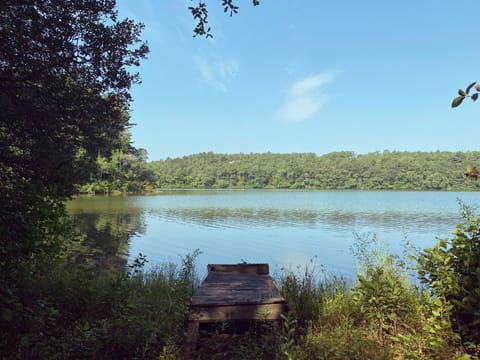 Little Long Pond View