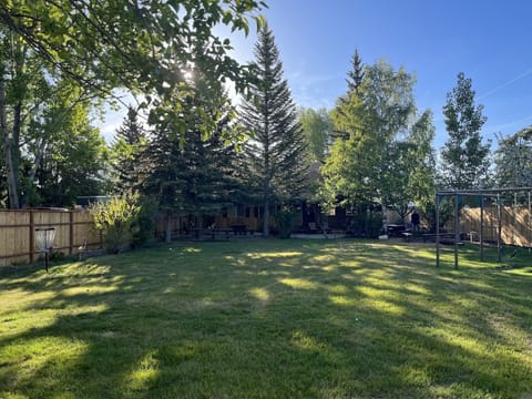 Beautiful, mature pines, quakies and fruit trees adorn the entire property.