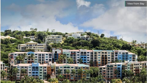View from Bay