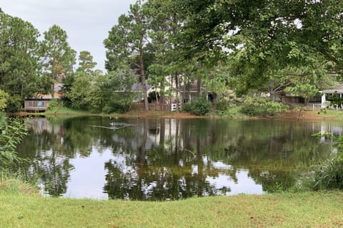 Lake view from the backyard