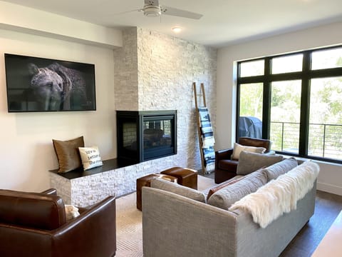 Living room with sofa sleeper.