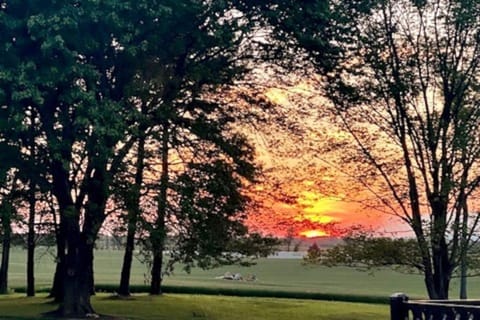 Sunset behind the Cottage