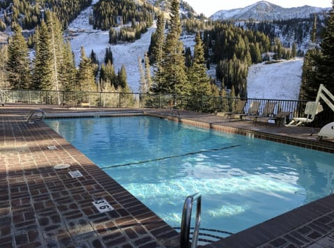 Iron Blosam Lodge Pool - Heated in Winter Time!