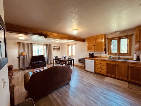 Living room and kitchen- Main Level