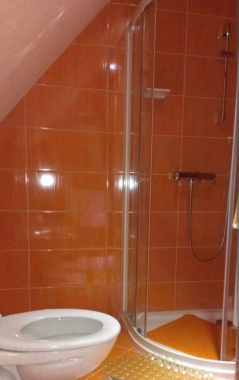 Bathroom from the room in House Samardzic