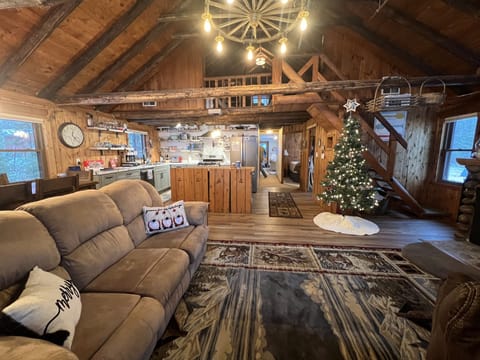 Open kitchen and main living area