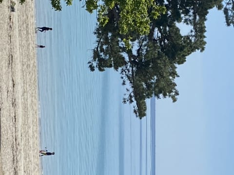 Exceptional sea view apartment Apartment in Fouesnant