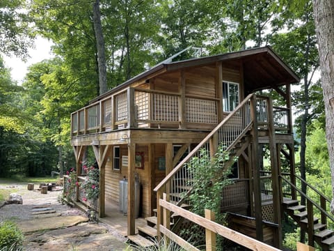 The Treehouse