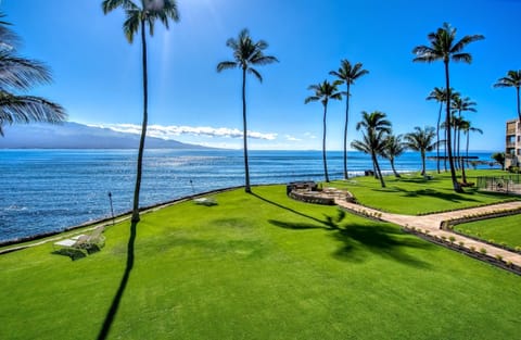 In Winter months~ keep an eye for Humpback Whales