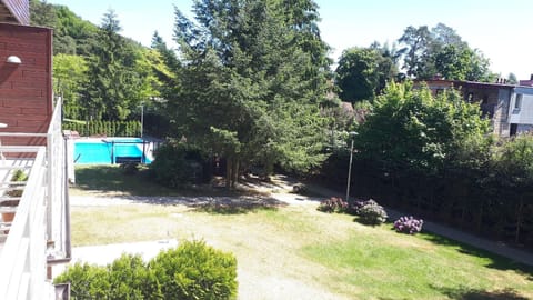 View from the window