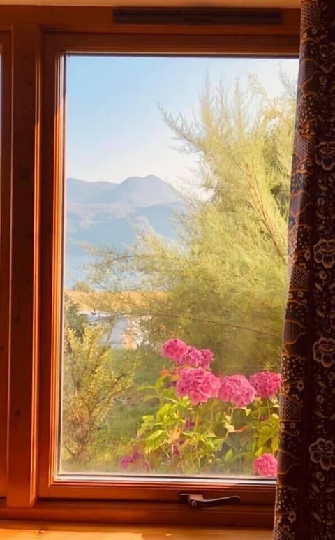 Front bedroom window view