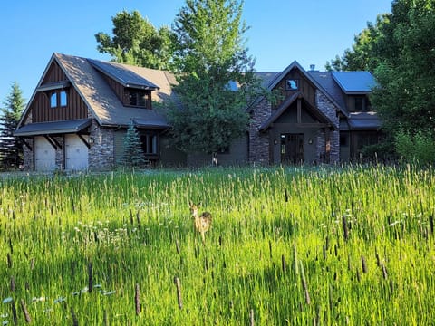 Front of the house with fawn in foreground