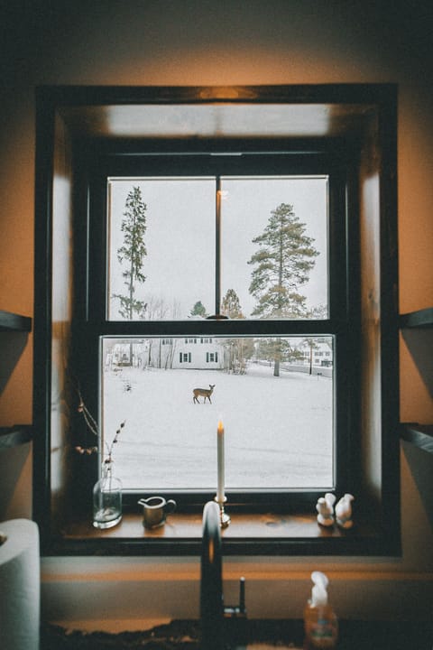 Watch the deer pass through the yard to eat from the apple trees in the backyard