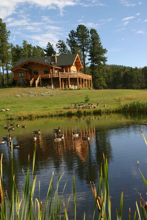 Canadian Geese frequent the pond. Incredible deck views. Abundant wildlife. 