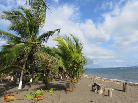 Beachfront view - 1 min walking distance from the casita