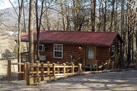 The Toolshed Cabin (1)