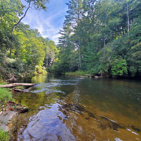Horsepasture River - Sits at the bottom of a trail on the property. 