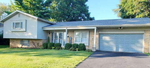 Grass, Lawn, Vegetation, Garage, Tree