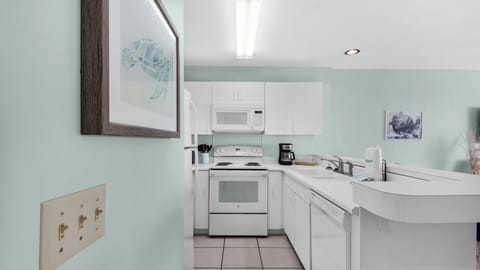 Mistral 15 Kitchen Area