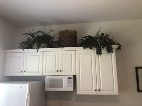 New full size refrigerator in the mini unit.