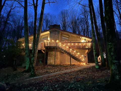 Night lights